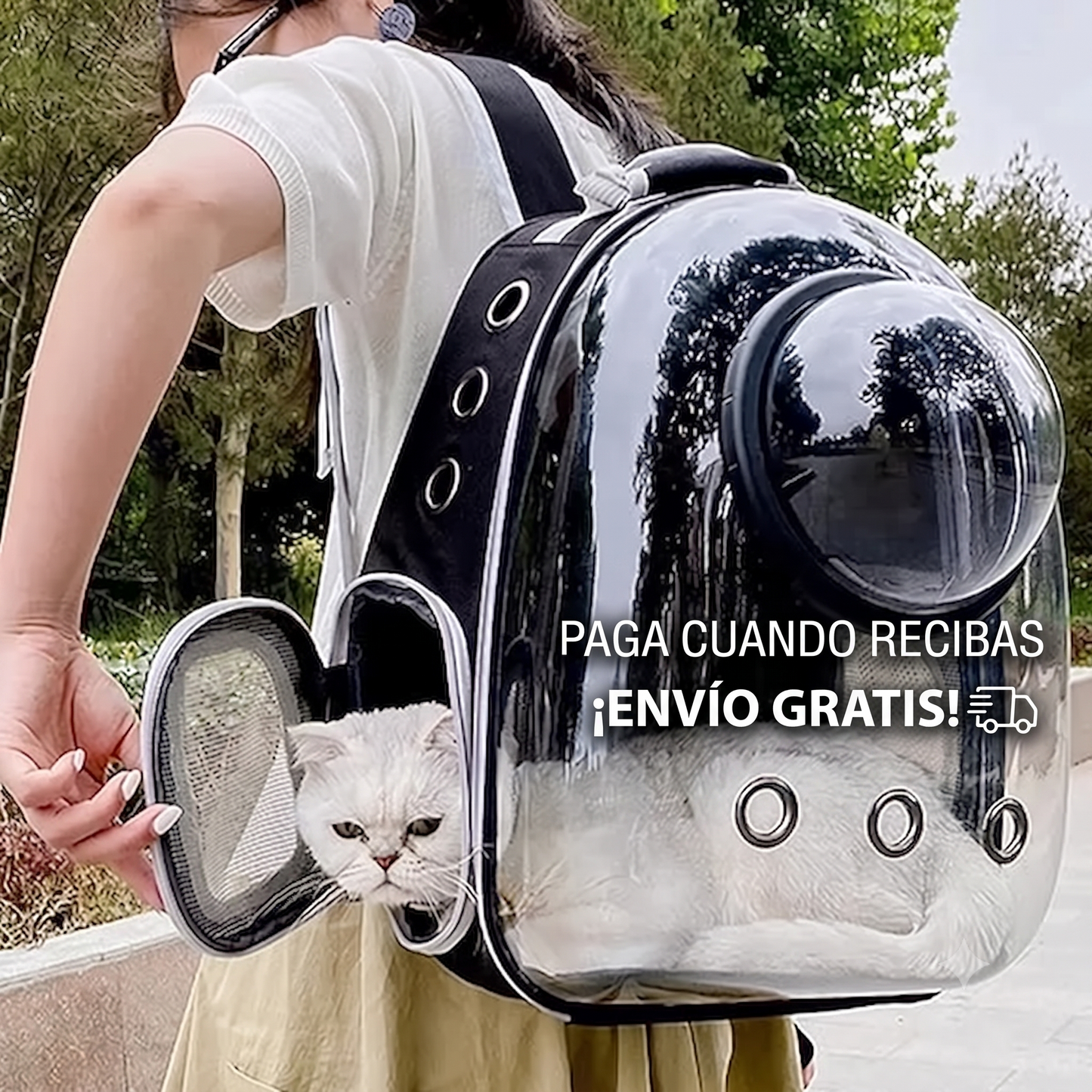 MALETA TIPO CAPSULA MASCOTAS PERRO GATO